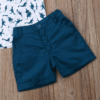 Toddler Baby Boy Summer Outfits Dinosaur Print Short Sleeve Button down Print Shirt with Shorts 2PCS Hawaiian Clothes