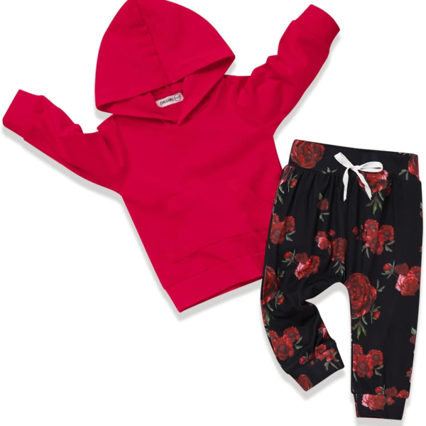 Baby Girl Clothes, Flower Hoodie Sweatshirt&Pant with Headband, Toddler Girls Fall Winter Outfits Clothes Set