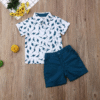 Toddler Baby Boy Summer Outfits Dinosaur Print Short Sleeve Button down Print Shirt with Shorts 2PCS Hawaiian Clothes